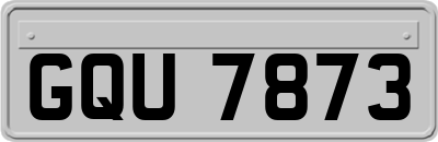 GQU7873