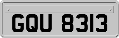 GQU8313