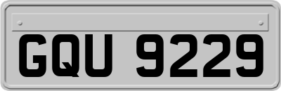 GQU9229