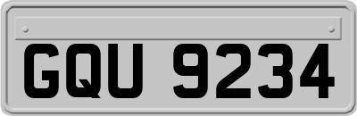 GQU9234