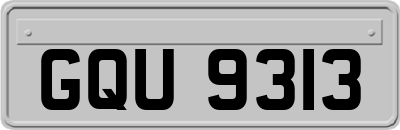 GQU9313