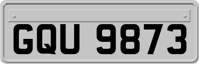 GQU9873