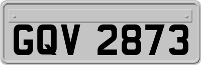 GQV2873