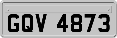 GQV4873