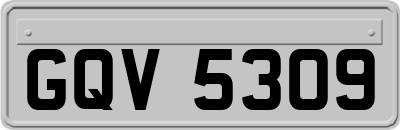 GQV5309