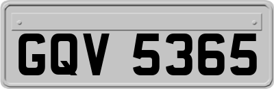 GQV5365