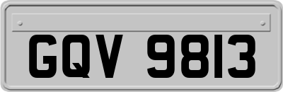 GQV9813