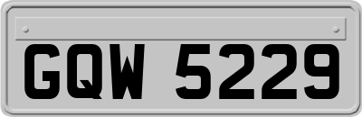 GQW5229