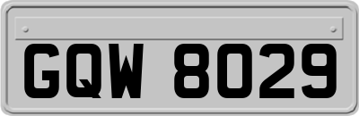 GQW8029