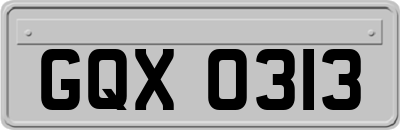 GQX0313