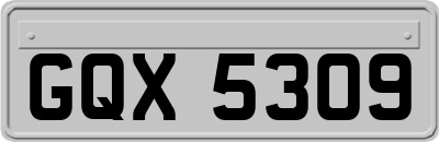 GQX5309