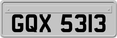 GQX5313
