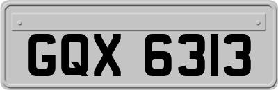 GQX6313