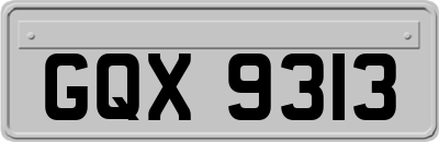 GQX9313