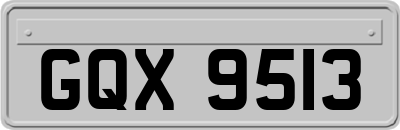 GQX9513