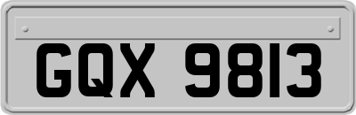 GQX9813