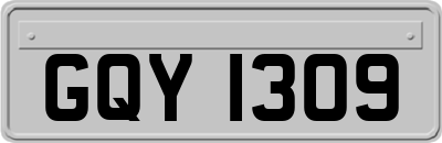 GQY1309