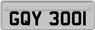 GQY3001
