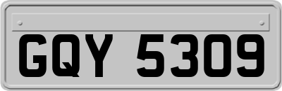 GQY5309