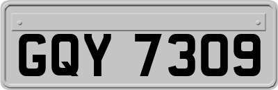 GQY7309