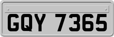 GQY7365