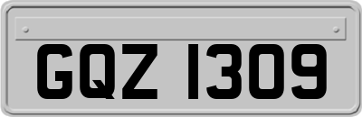 GQZ1309