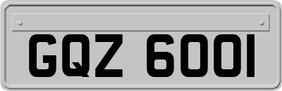 GQZ6001
