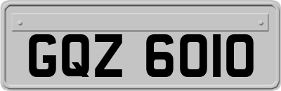GQZ6010