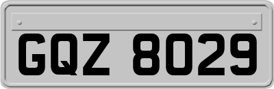 GQZ8029