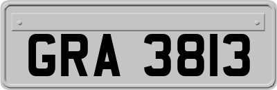 GRA3813