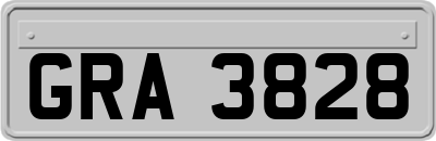 GRA3828