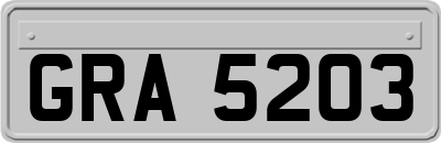 GRA5203