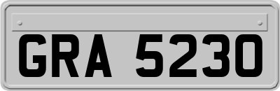 GRA5230