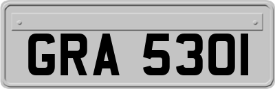 GRA5301