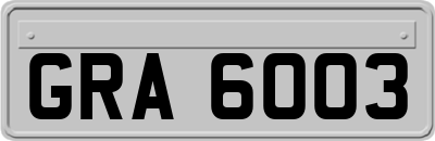 GRA6003