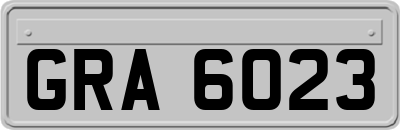 GRA6023