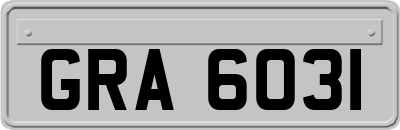 GRA6031