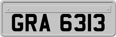 GRA6313