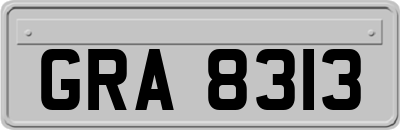 GRA8313