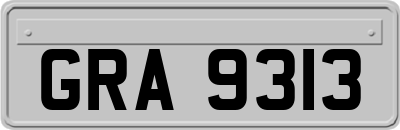 GRA9313