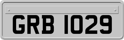 GRB1029