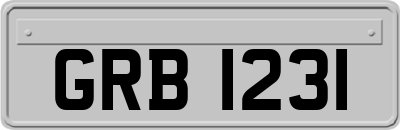 GRB1231