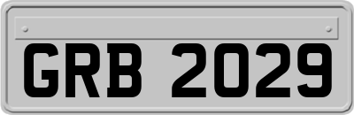 GRB2029