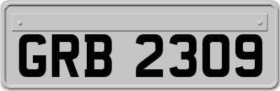 GRB2309