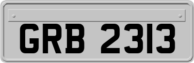 GRB2313