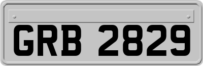GRB2829