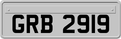 GRB2919