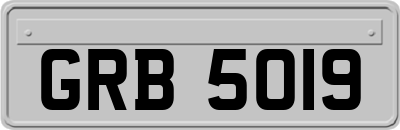 GRB5019