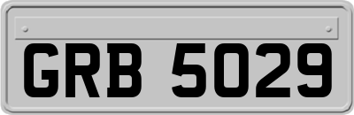 GRB5029