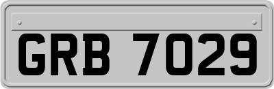 GRB7029